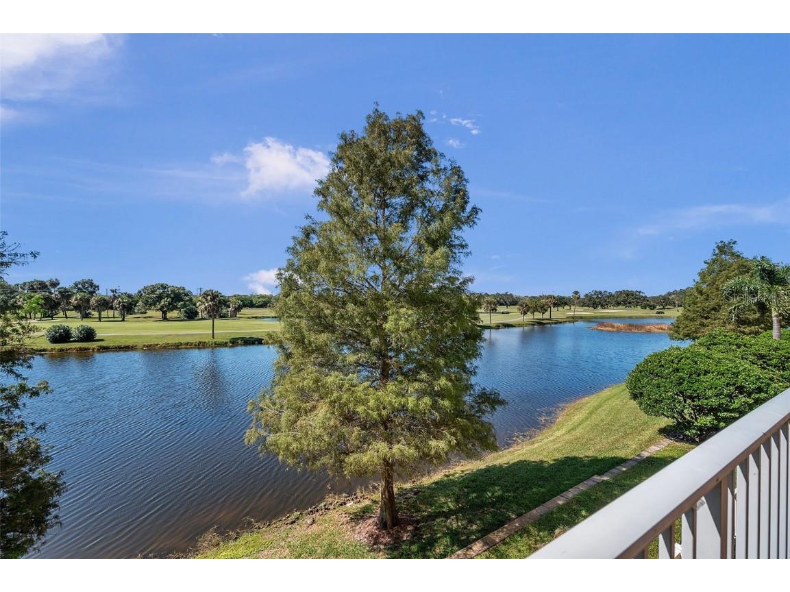 1200 Country Club Drive #5105 Largo FL 33771 - SHORE LAKE U8242627 image6