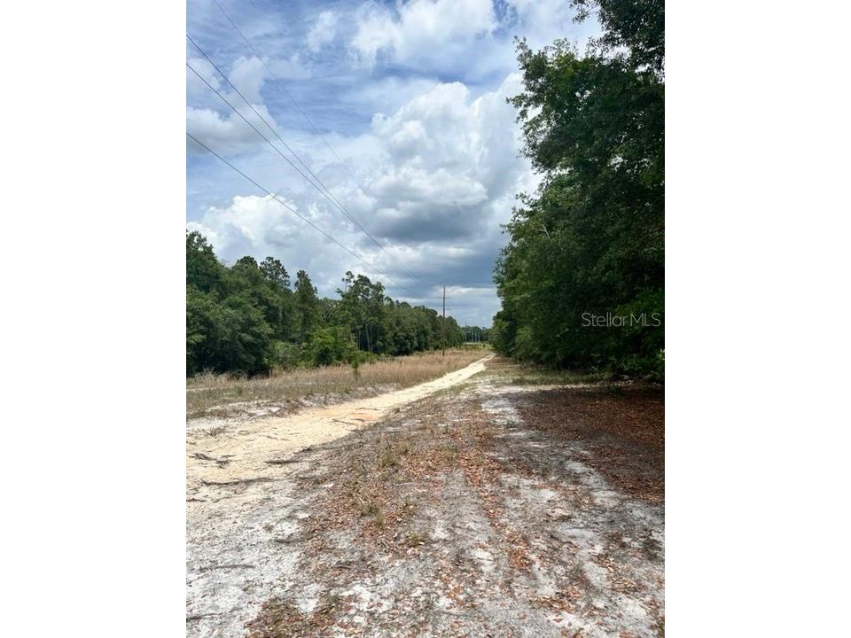 TBD 170th SE Avenue Road Ocklawaha FL 32179 - UNKNOWN NEAR PILLAN'S PRARIE G5082091 image16